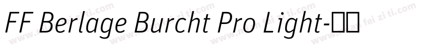 FF Berlage Burcht Pro Light字体转换
